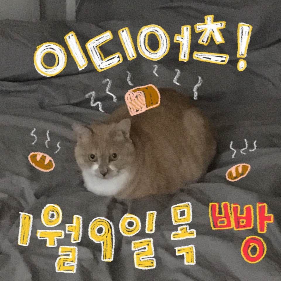 오롯한 라이브와 함께 poster 2