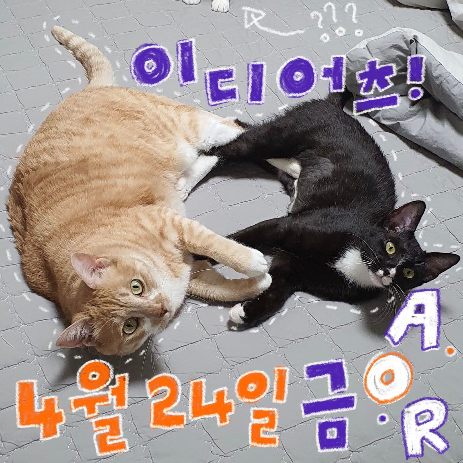 A.O.R CRAZY-FRIDAY poster 2