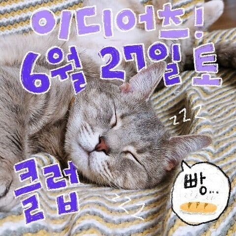 6월 빵 공연 poster 2