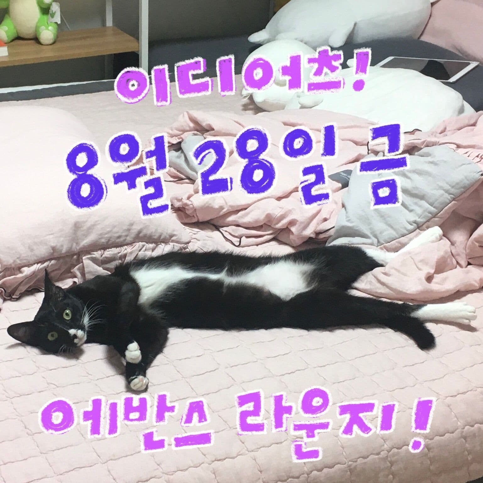 8월 에반스라운지 공연 poster 2