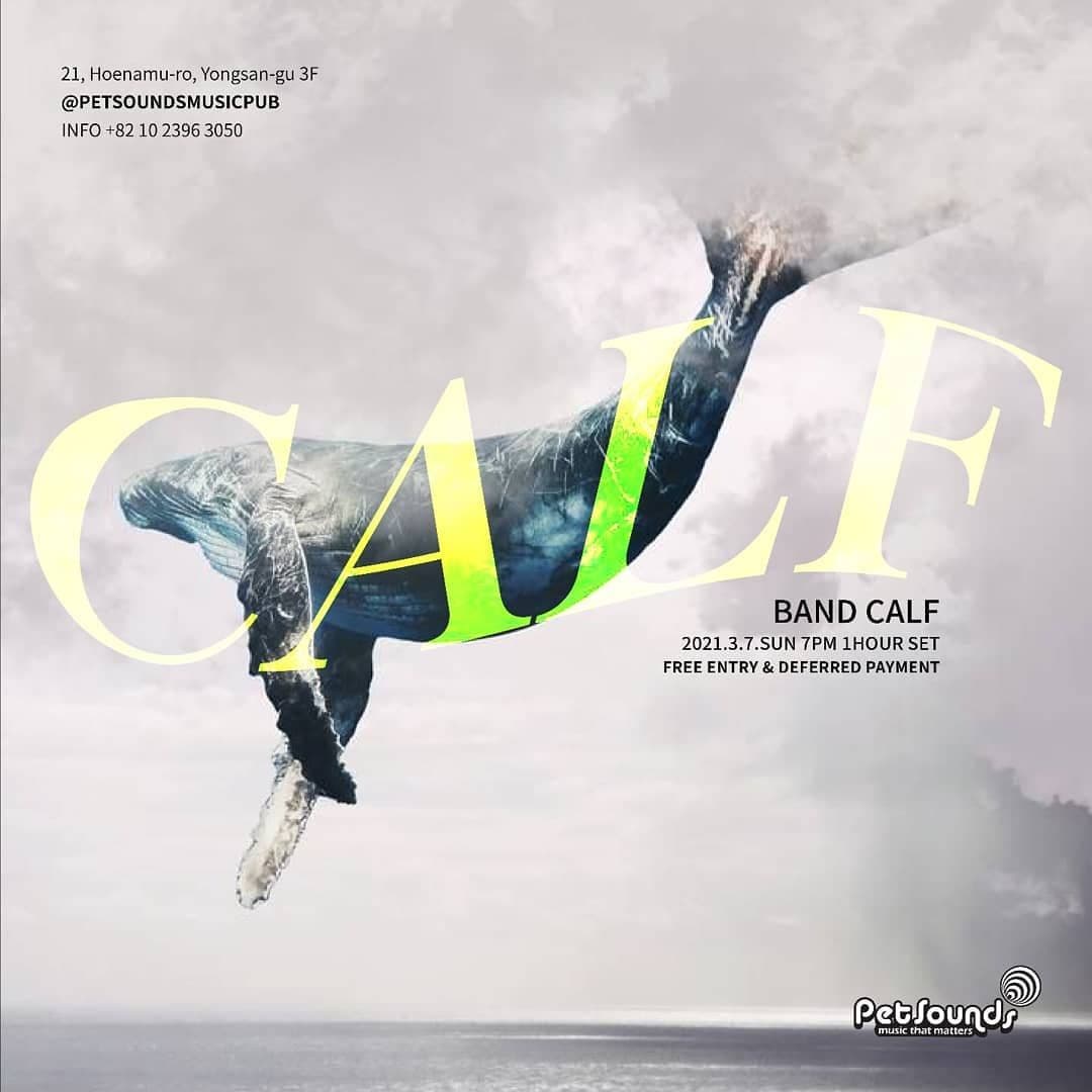 펫사운즈 인디라이브 - 카프