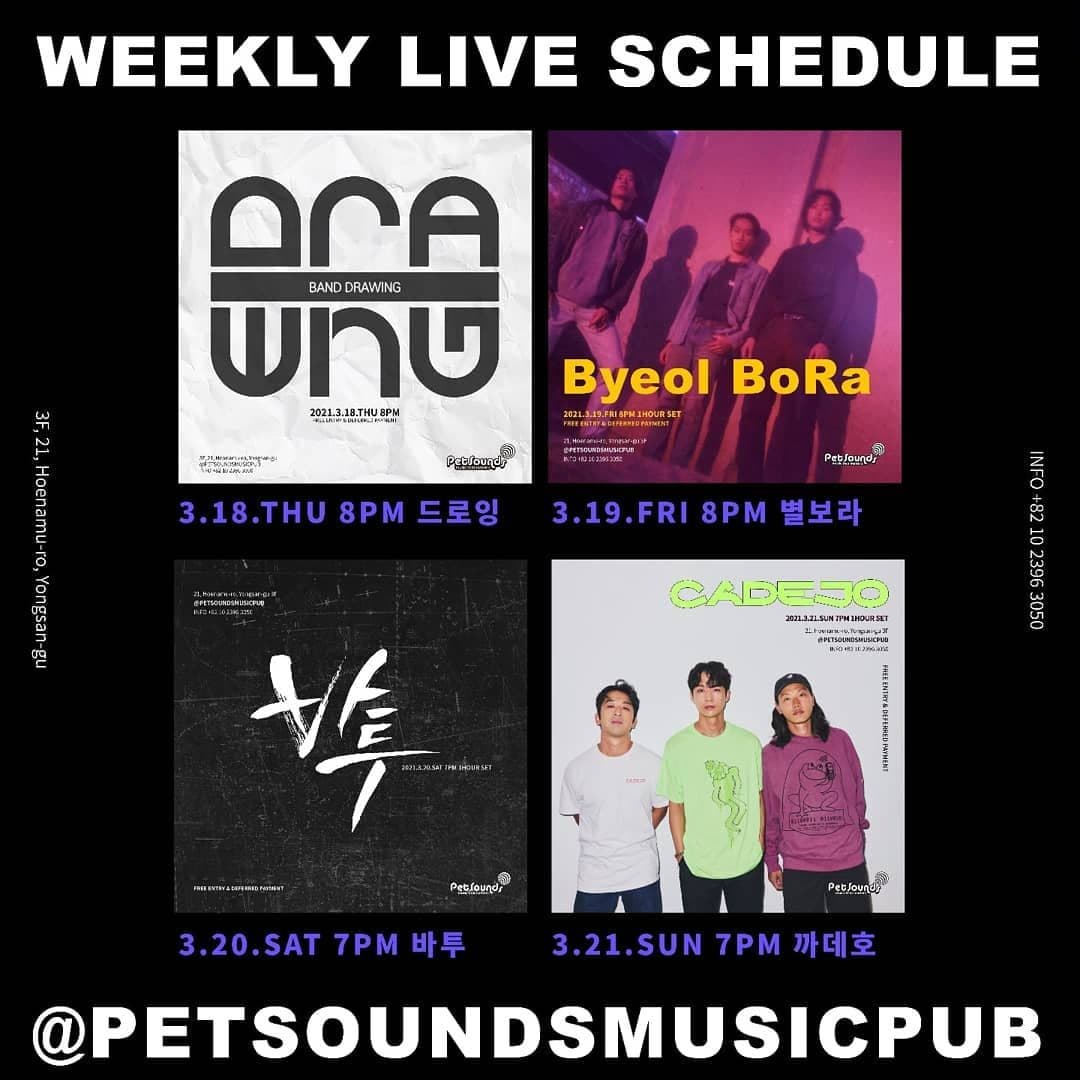 펫사운즈 인디라이브 - 별보라