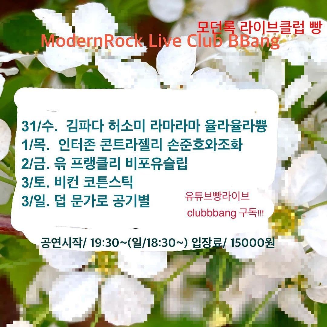 3월 클럽빵 공연