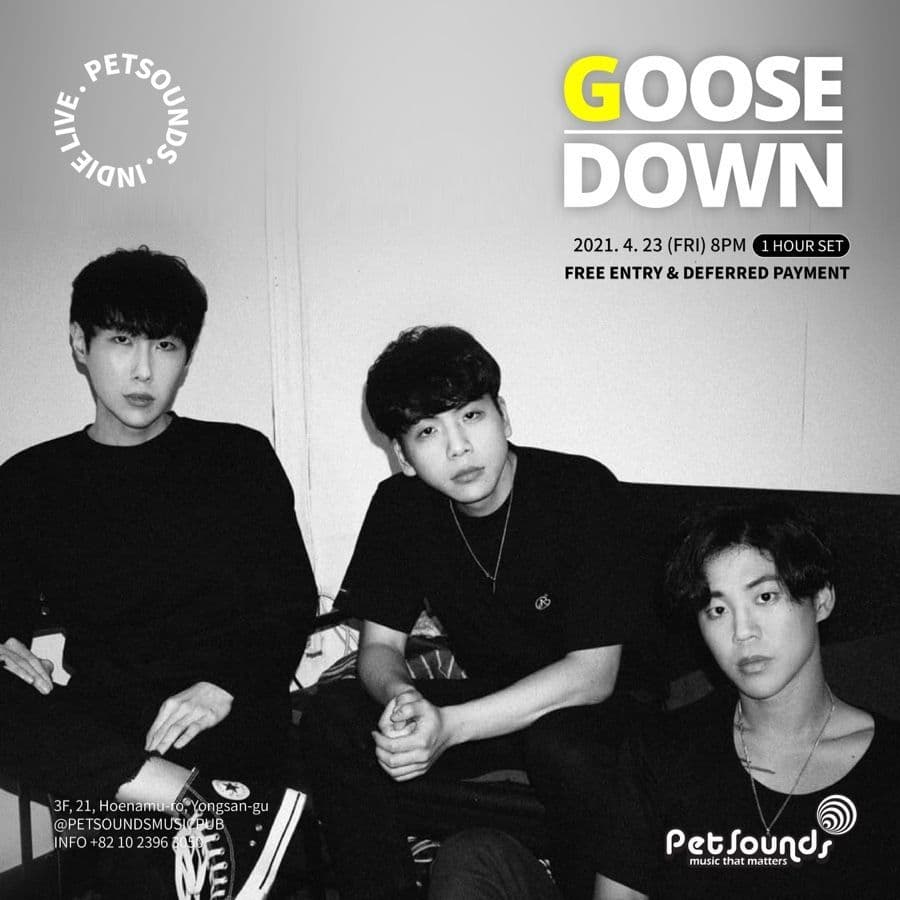 펫사운즈 인디라이브 - 구스다운