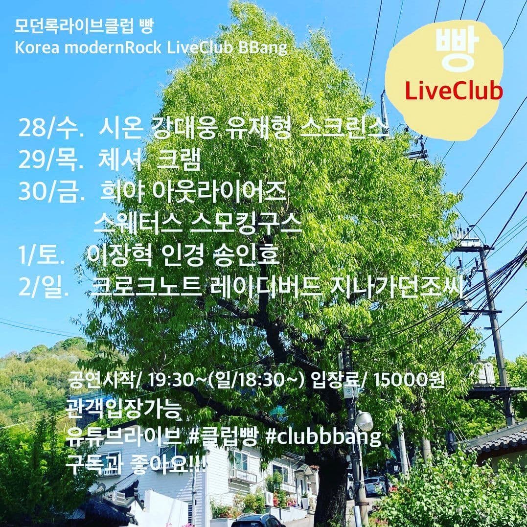 5월 클럽빵 공연