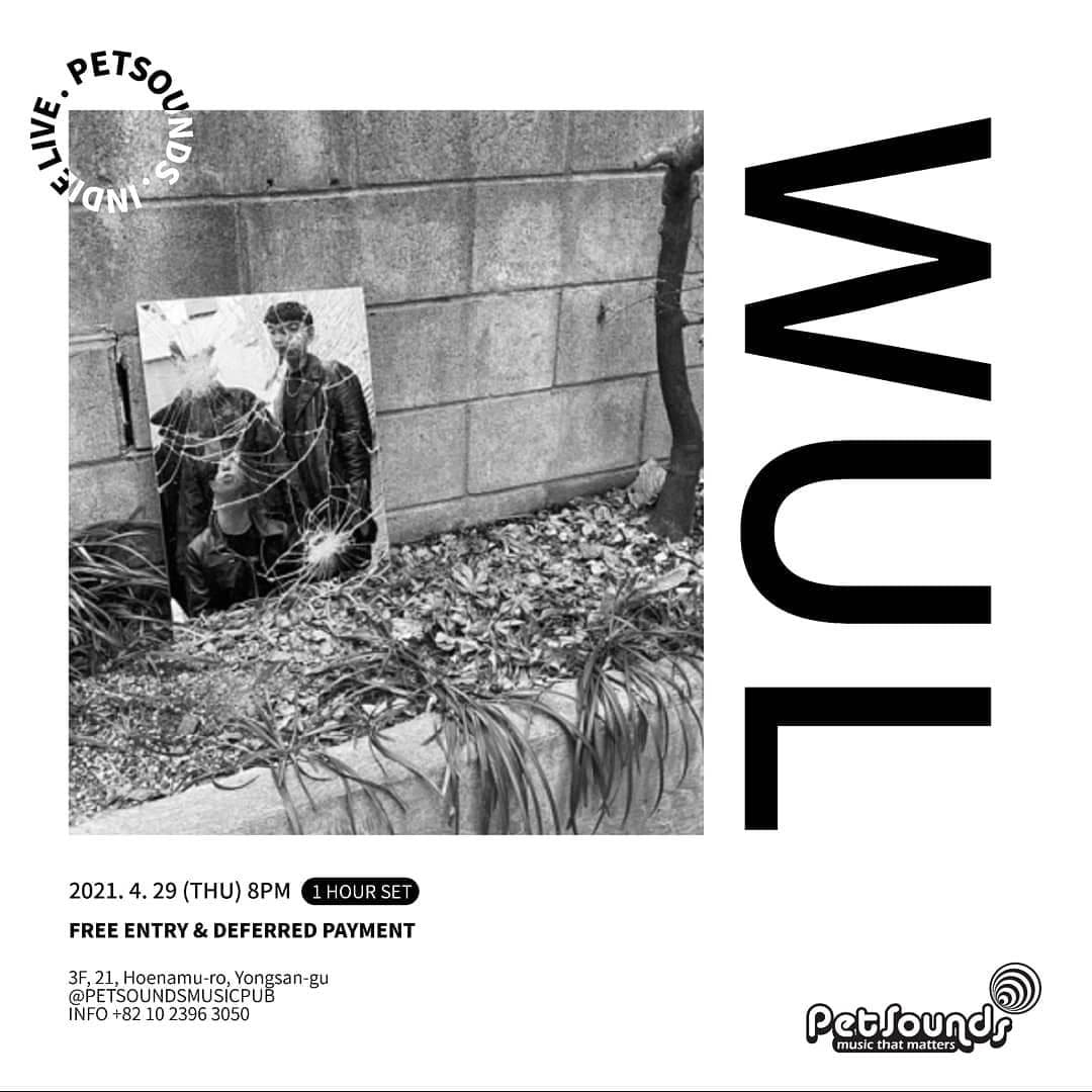 펫사운즈 인디라이브 - 울