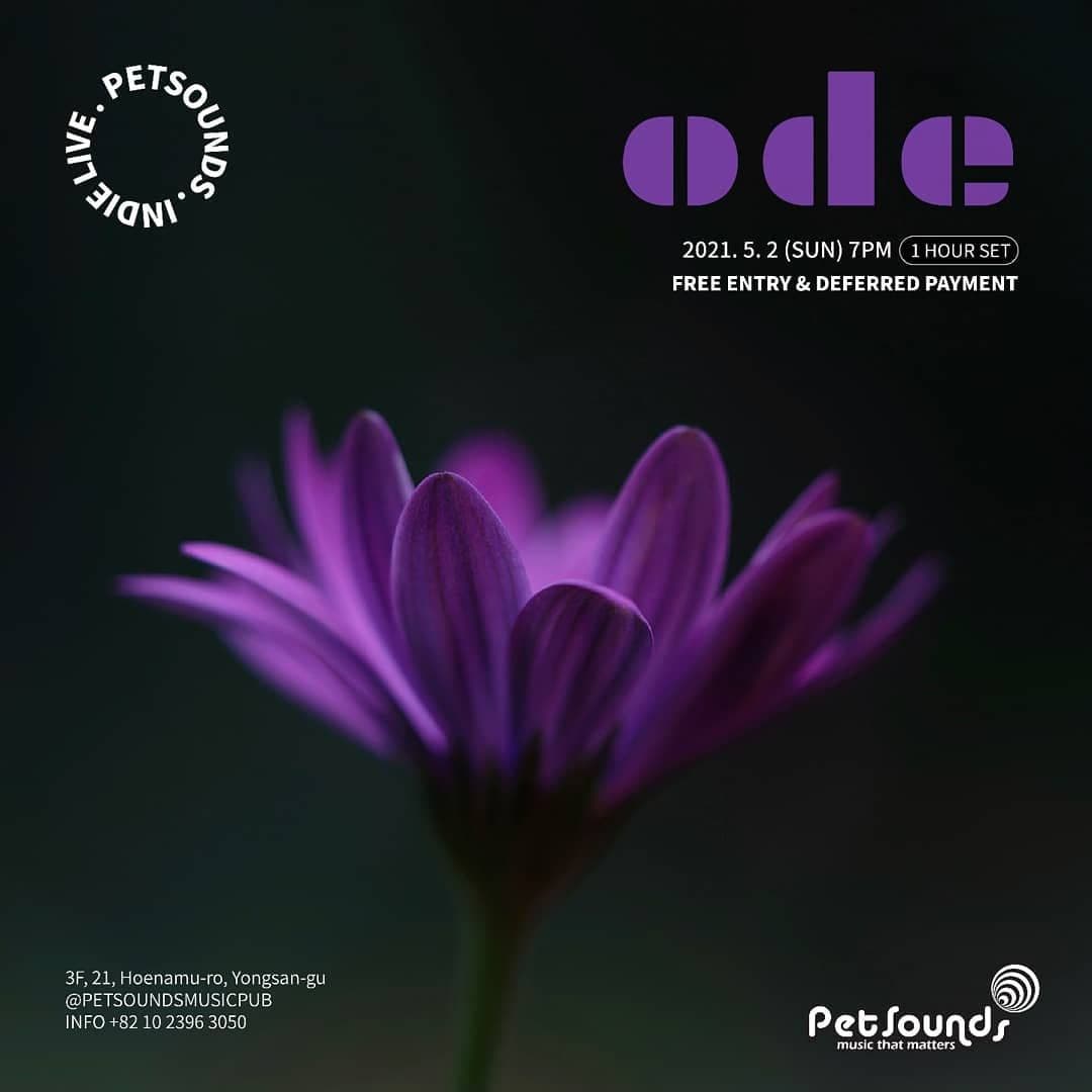 펫사운즈 인디라이브 - 오드