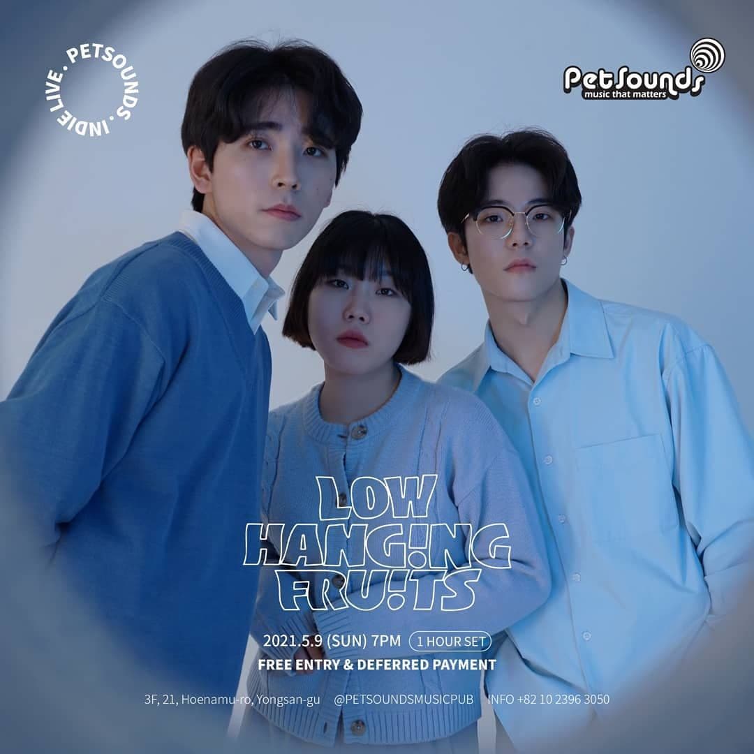 펫사운즈 인디라이브 - 로우행잉프루츠