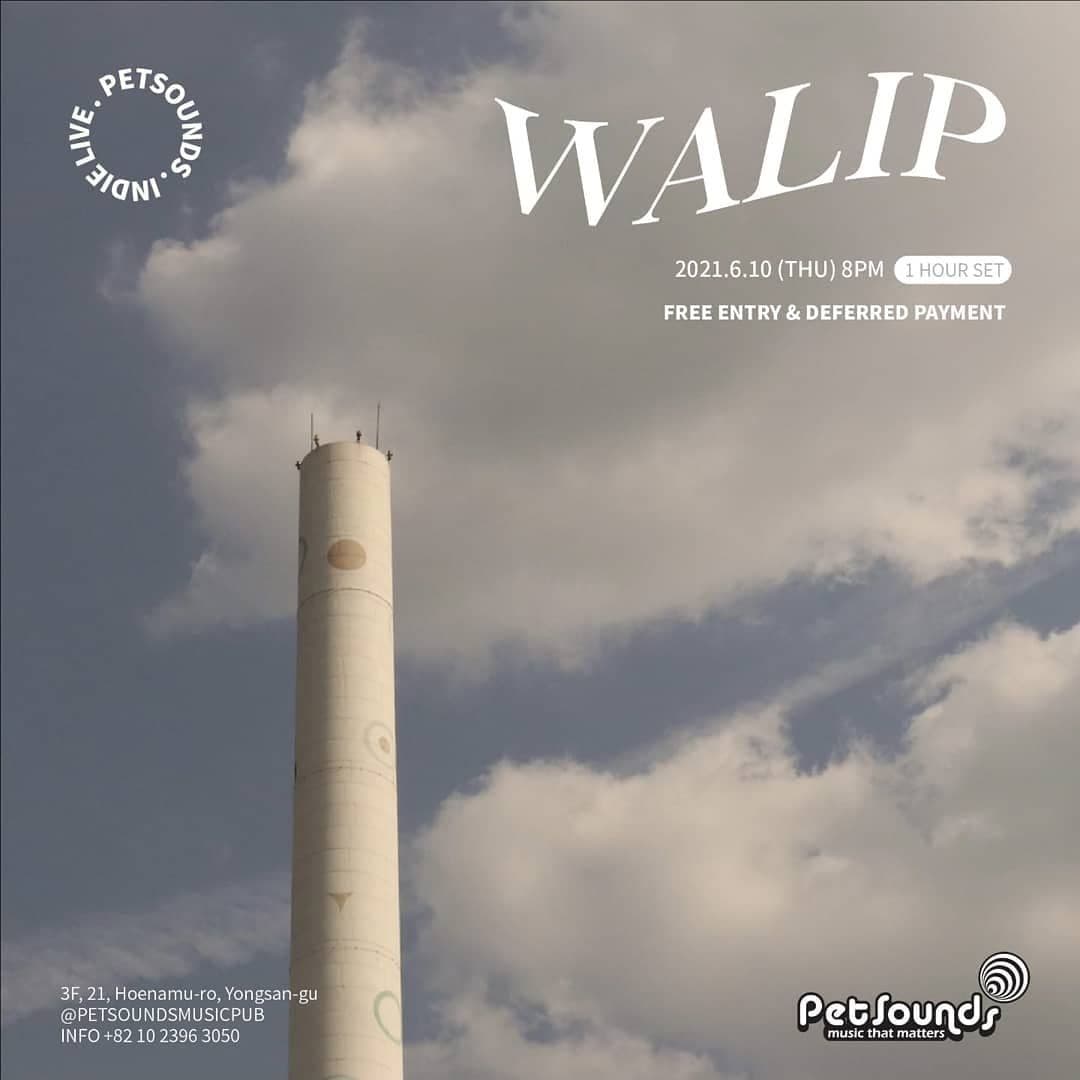 펫사운즈 인디라이브 - 왈립