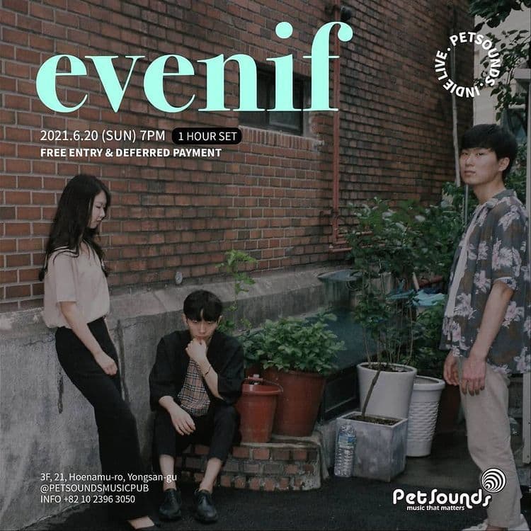 펫사운즈 인디라이브 - 이븐이프