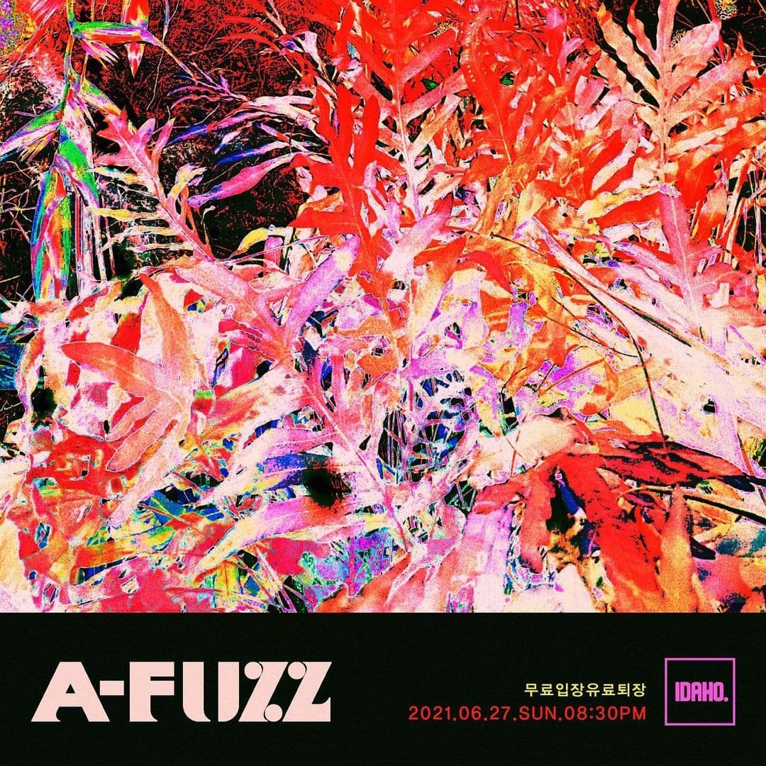 2021년 6월 27일 카페 아이다호 공연 - 에이퍼즈