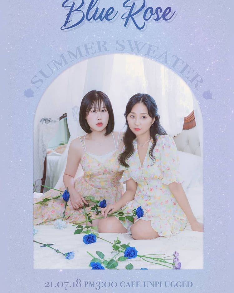 여름스웨터(구.옆집언니) 쇼케이스