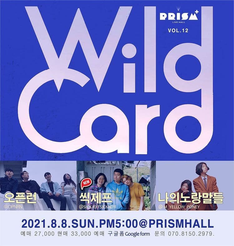 WILD CARD vol.12