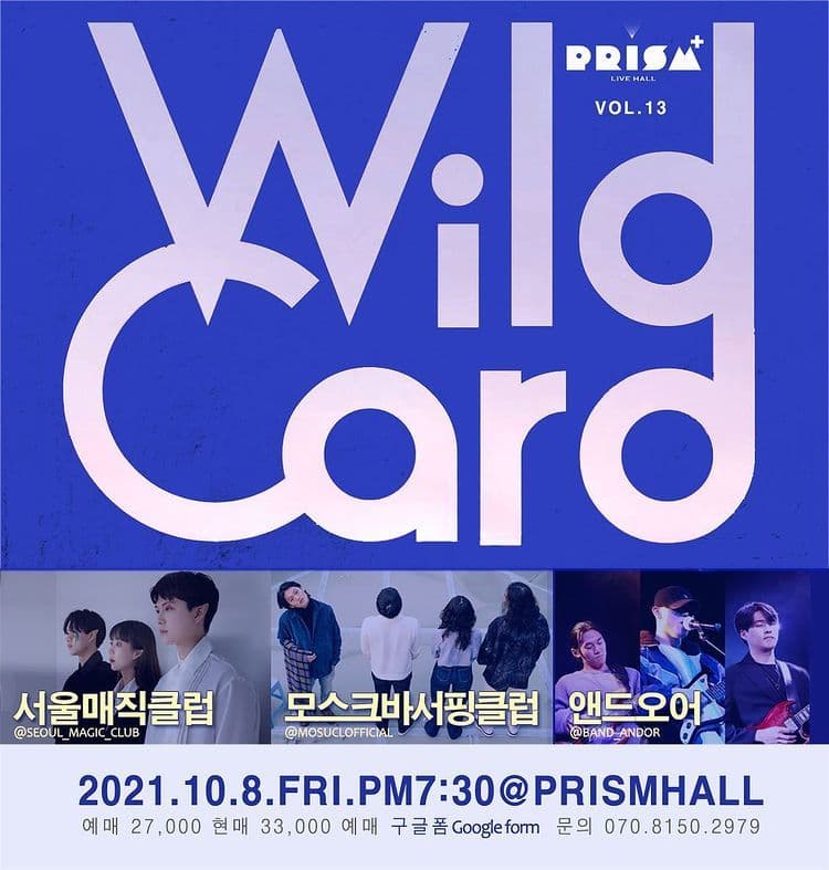 WILD CARD vol.13