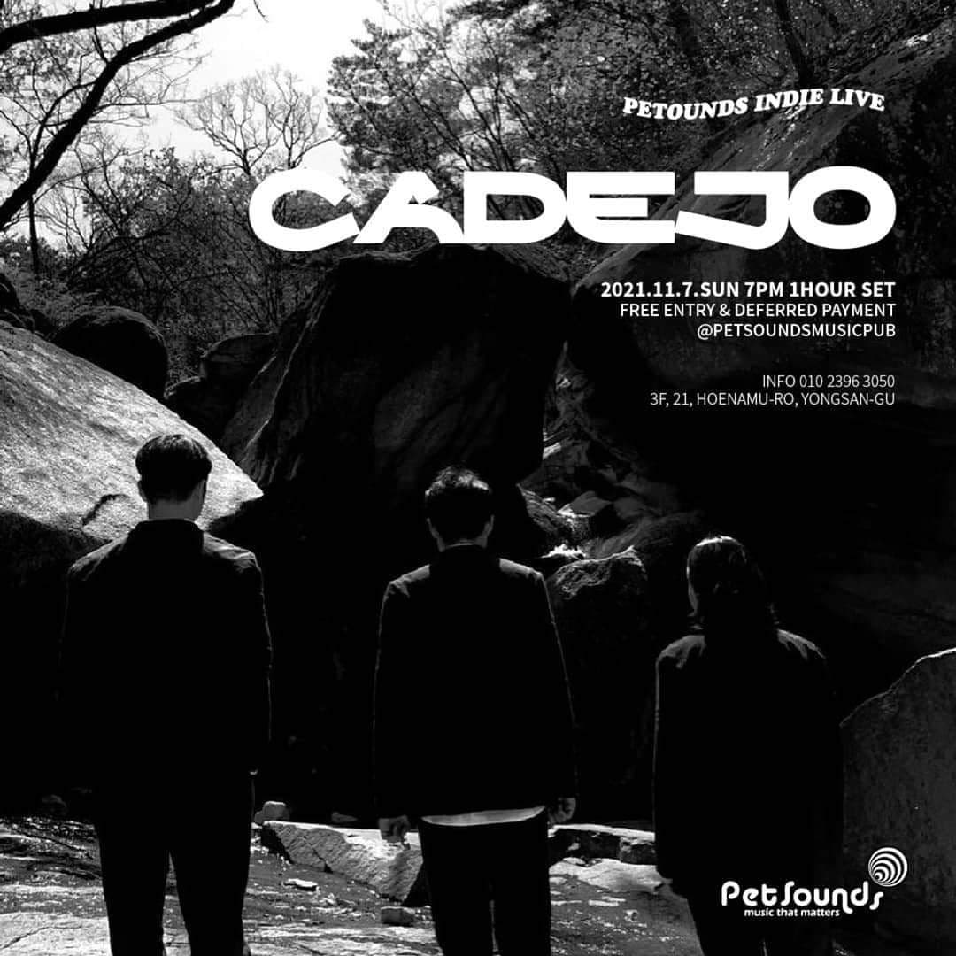 펫사운즈 인디라이브 - 까데호