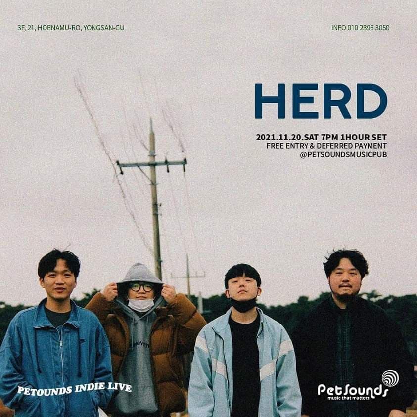 펫사운즈 인디라이브 - 허드