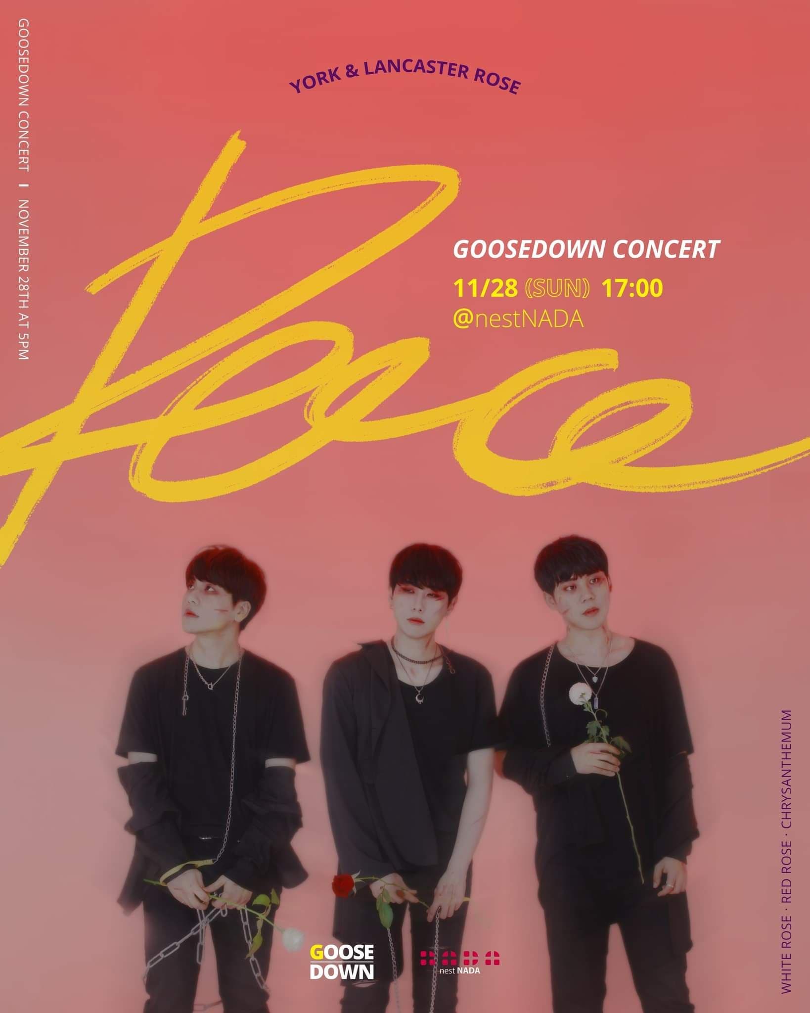 구스다운 단독공연 - Peace