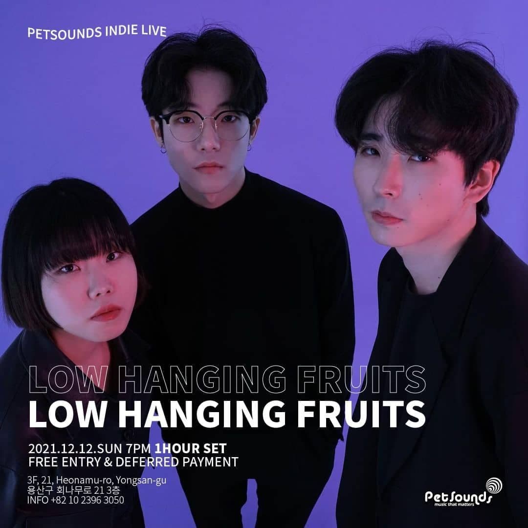 펫사운즈 인디라이브 - 로우행잉프루츠