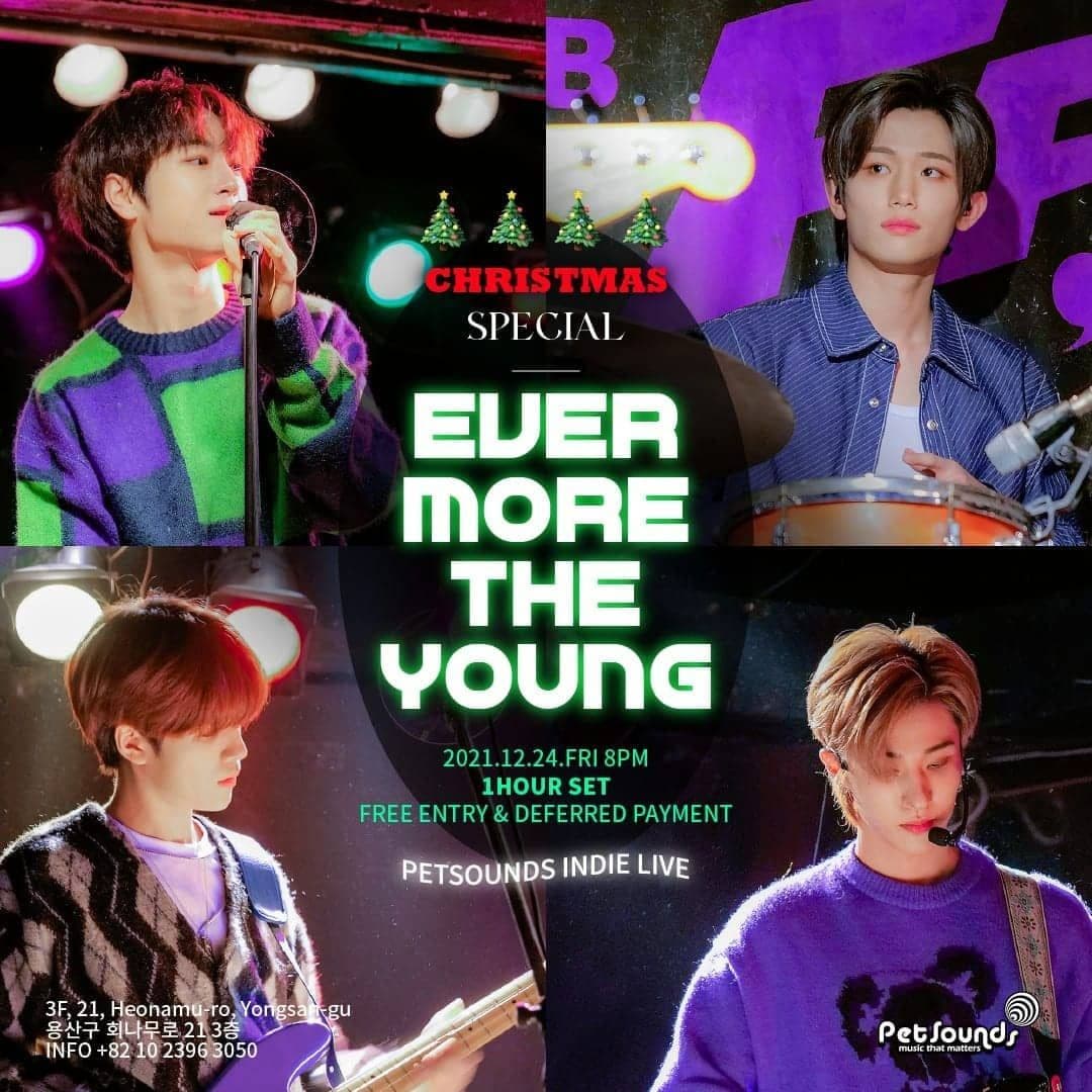 🎄 펫사운즈 크리스마스 특집 라이브 🎄