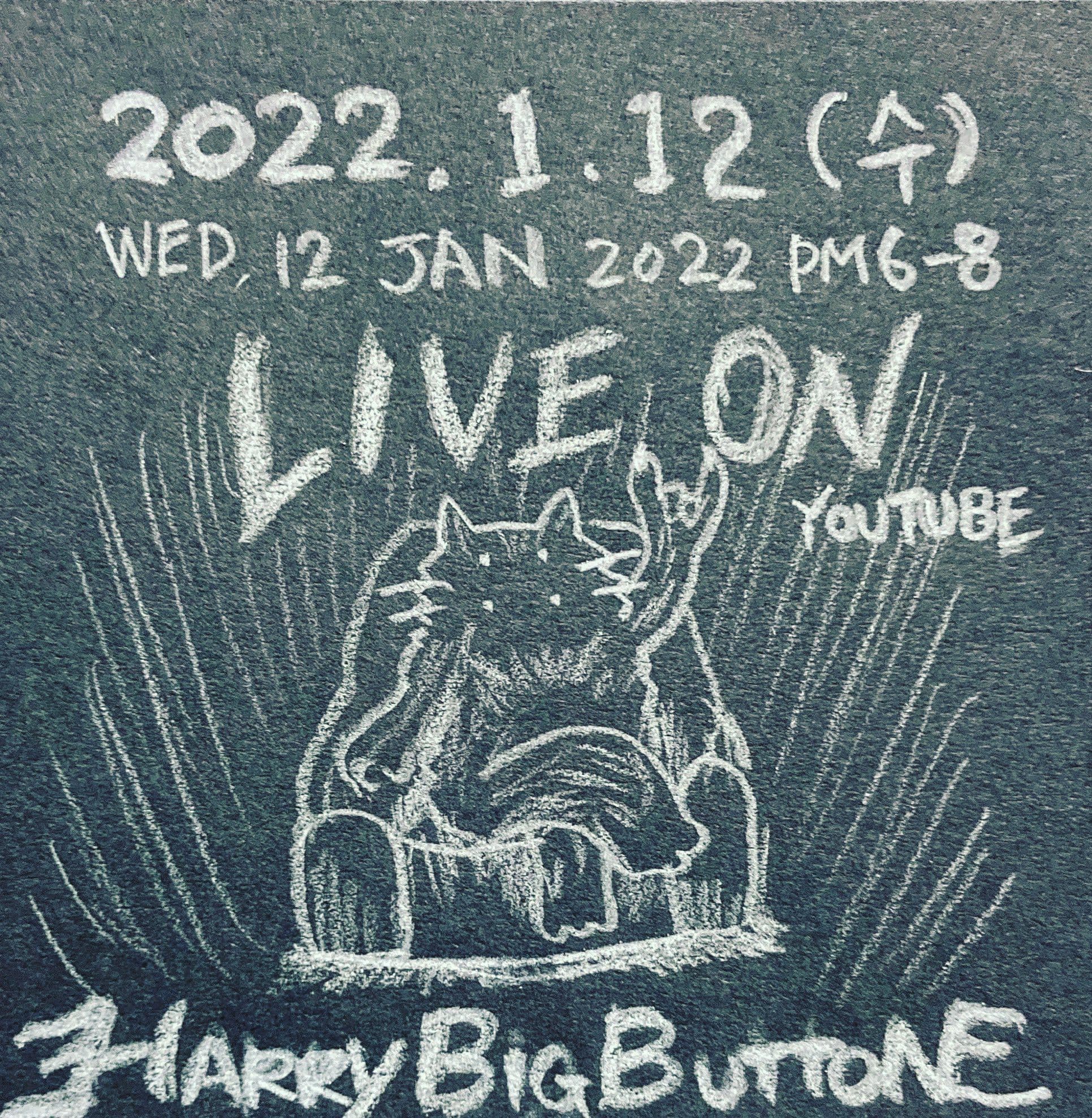 해리빅버튼 유튜브 스트리밍 poster 2