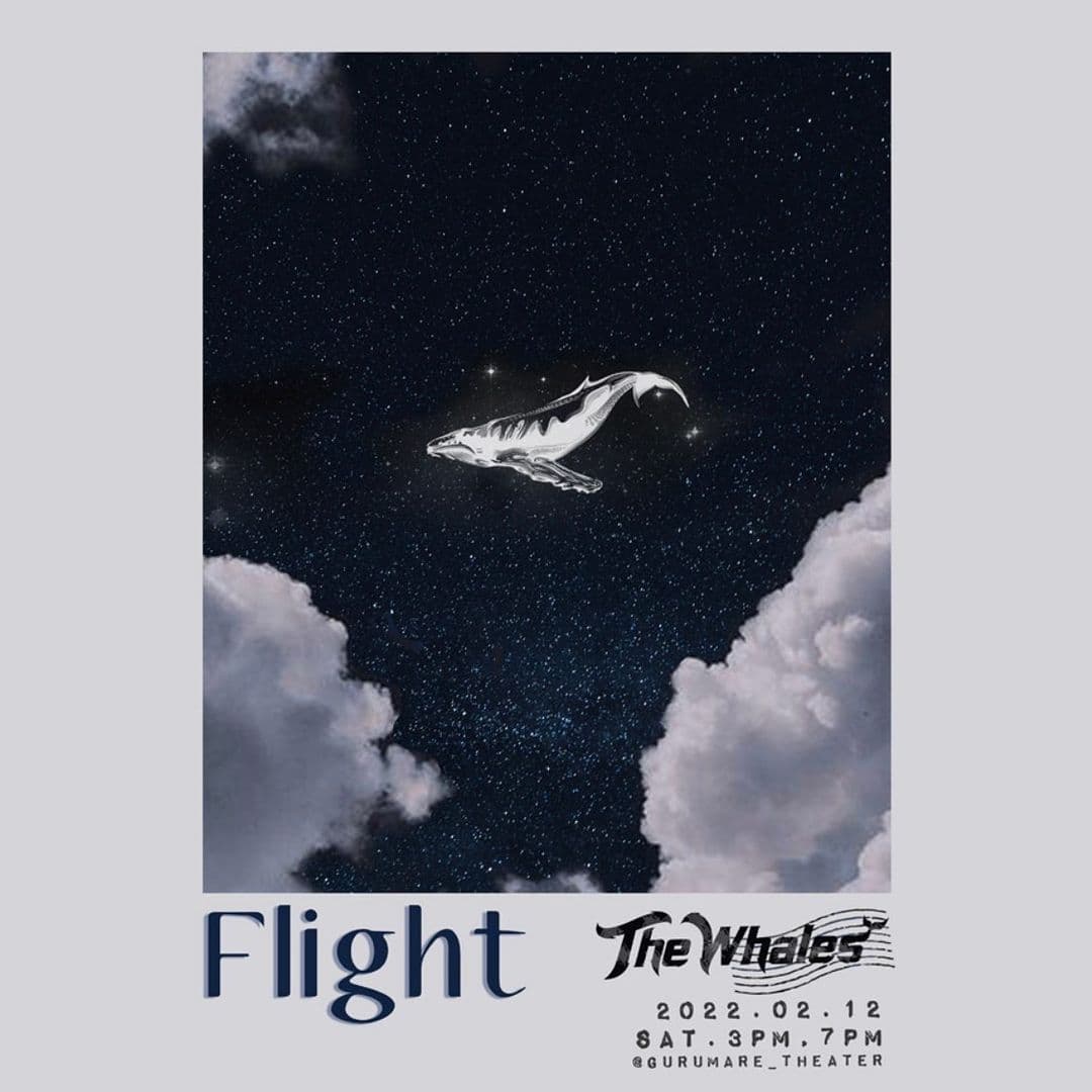 🛫 Flight0212: The Whales 편 🛫