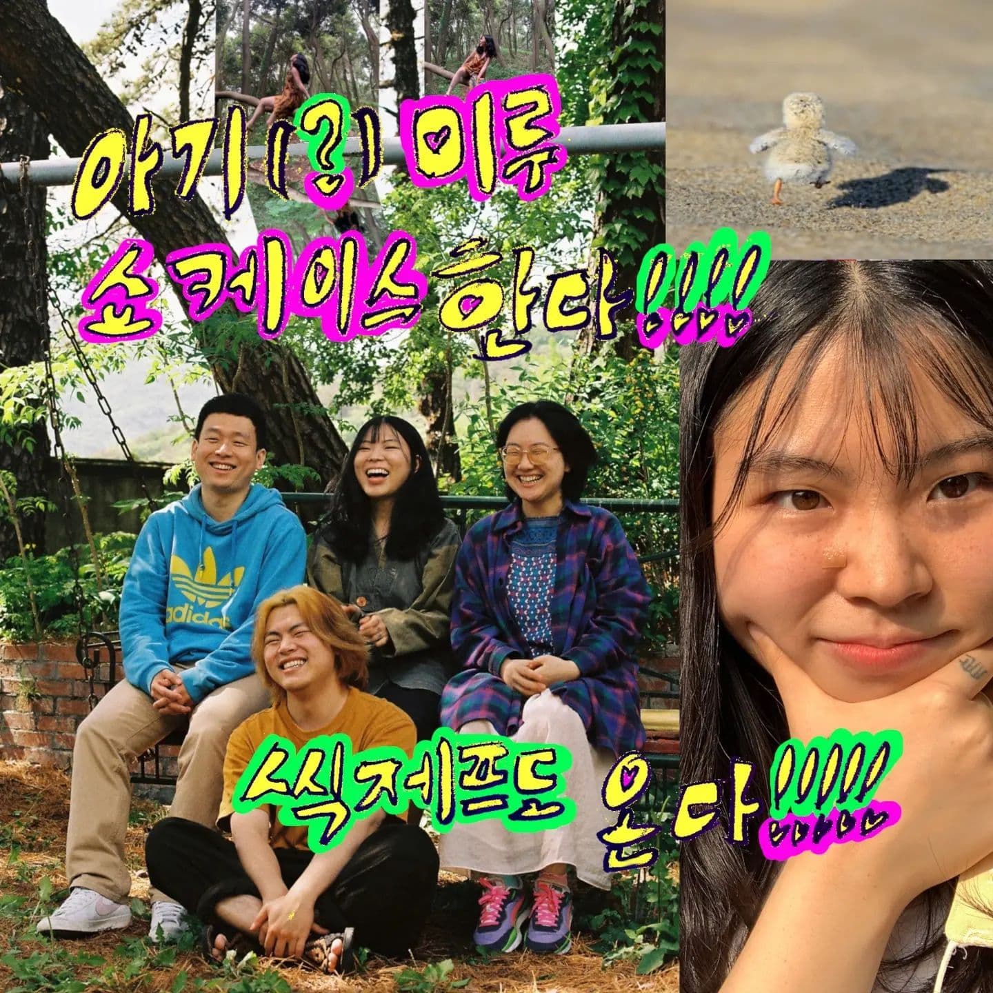 🎉 미루 앨범 발매 축하 공연 🎉