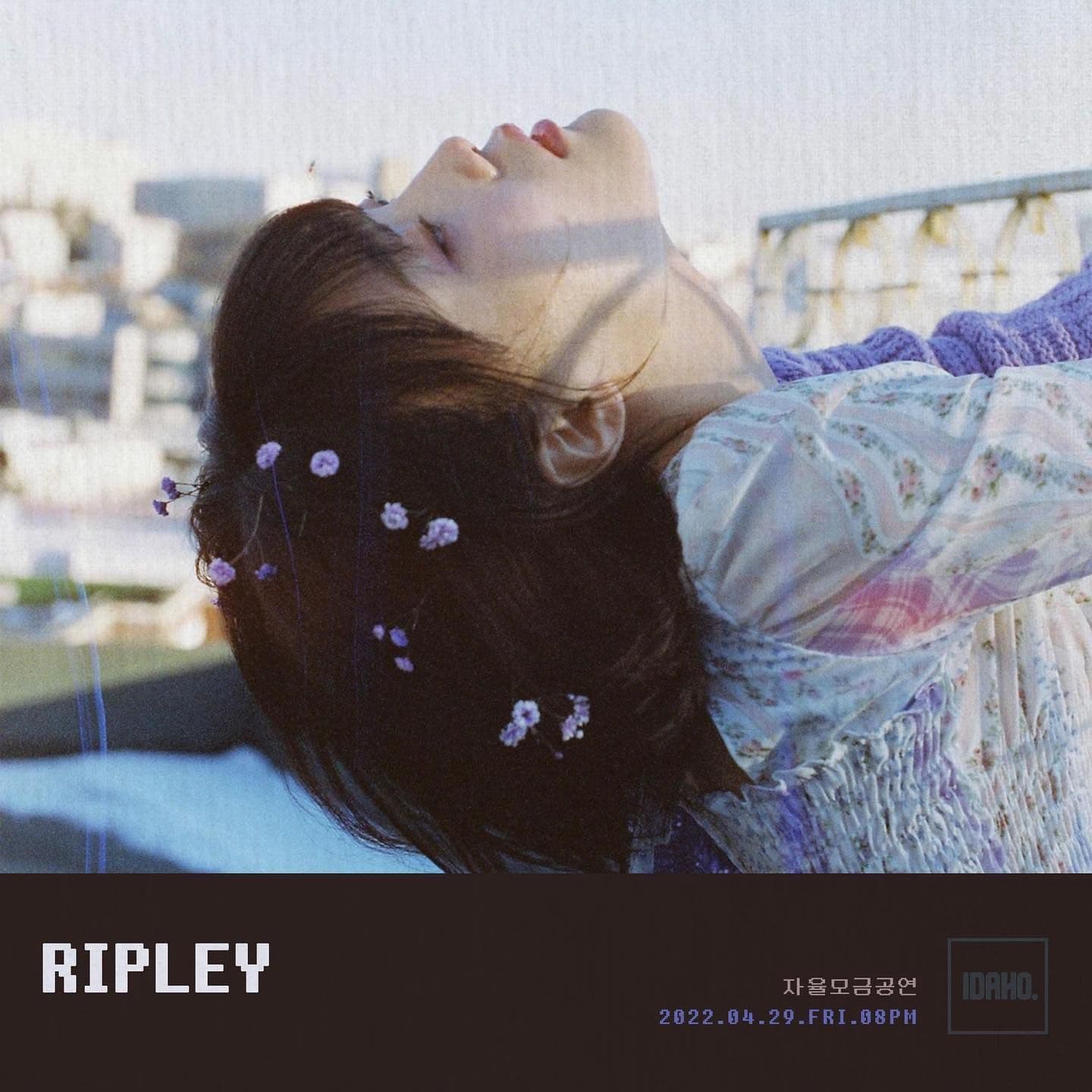 2022년 4월 29일 카페 아이다호 공연 - 리플리