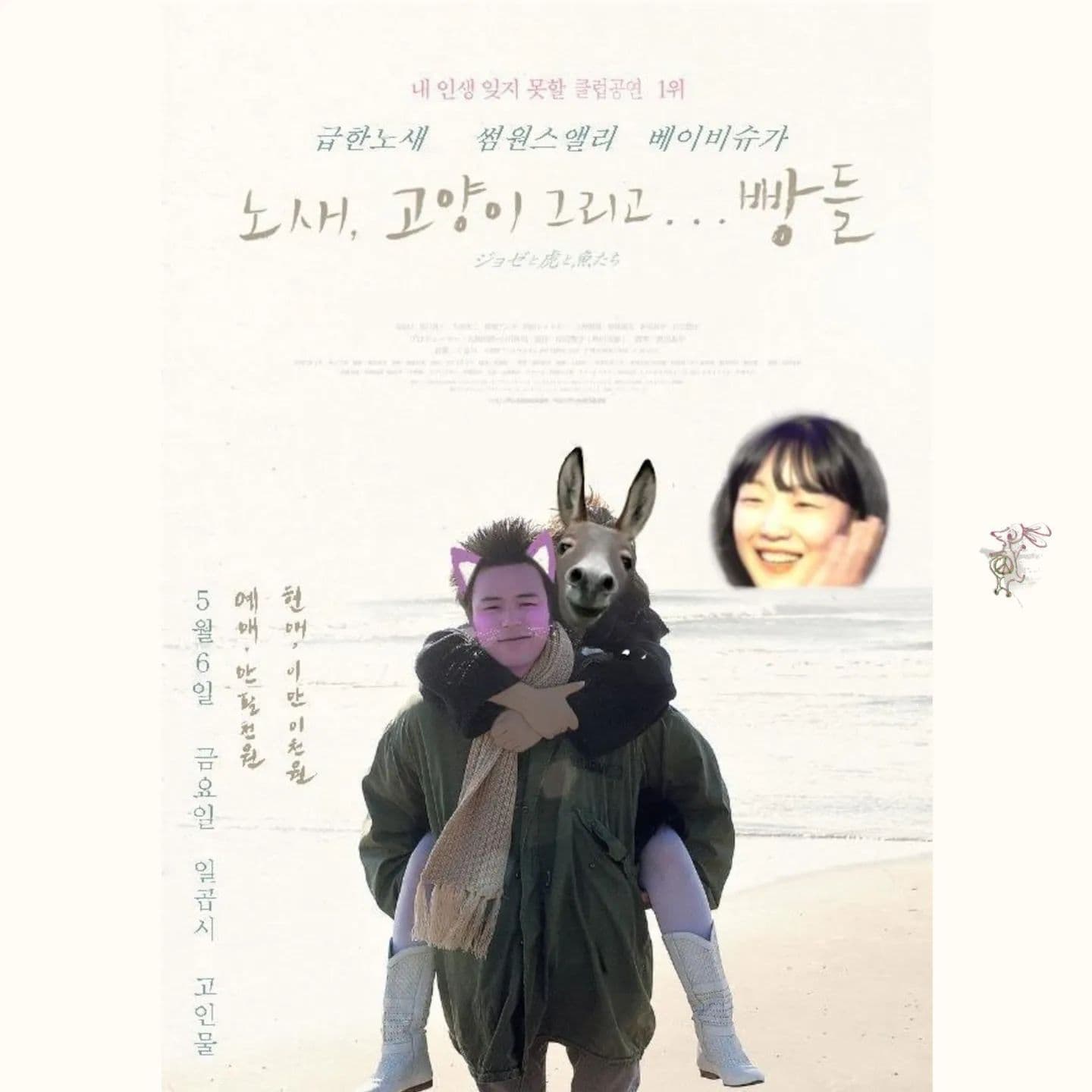 노새, 고양이 그리고 빵들