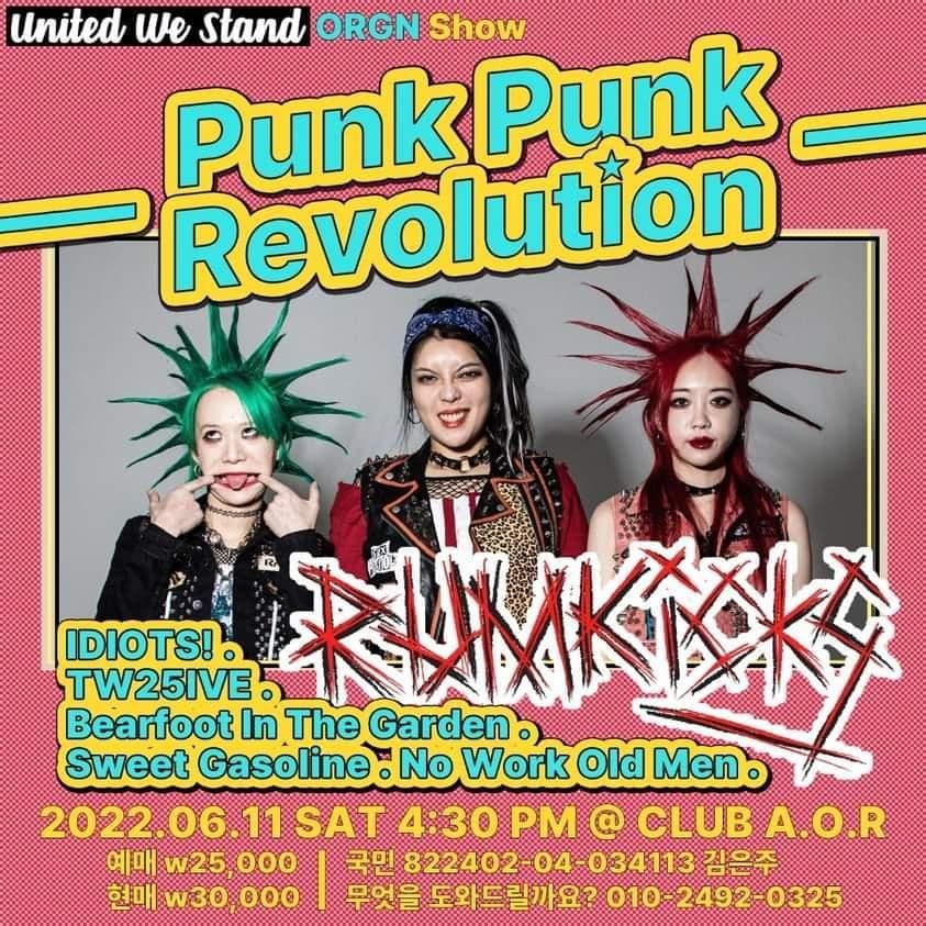 Punk Punk Revolution poster 2