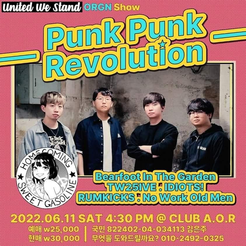 Punk Punk Revolution poster 4