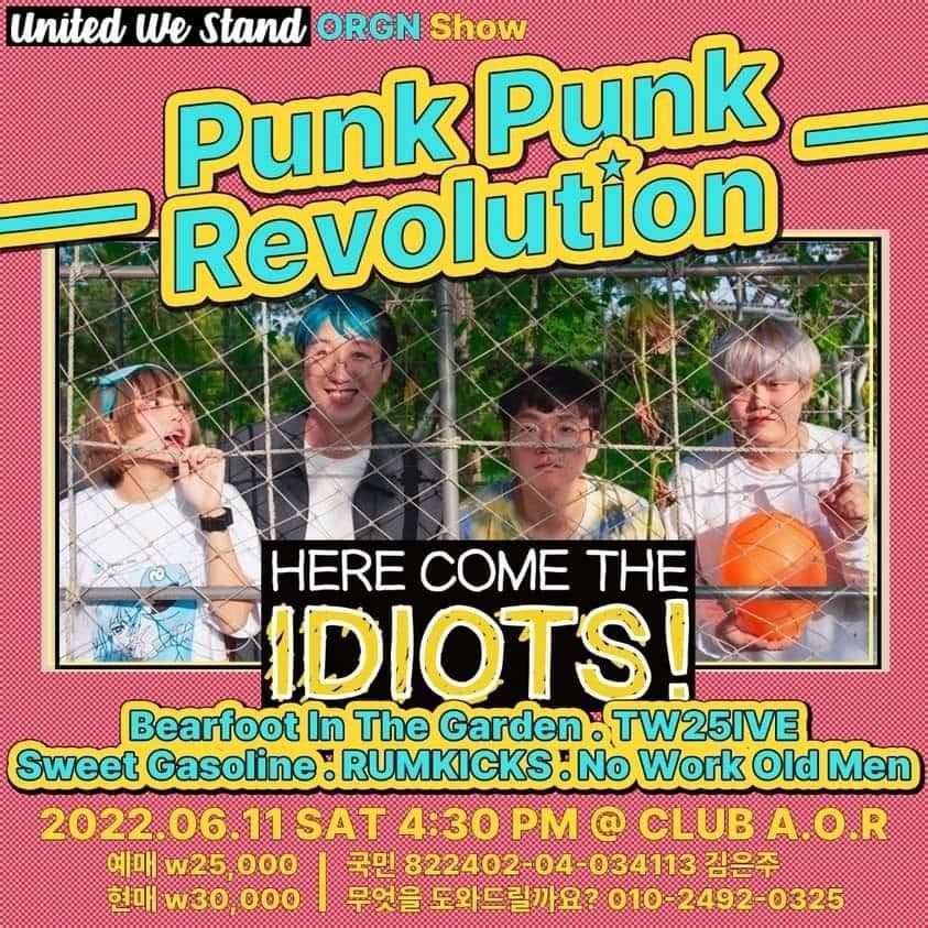 Punk Punk Revolution poster 5