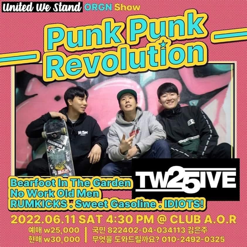 Punk Punk Revolution poster 6