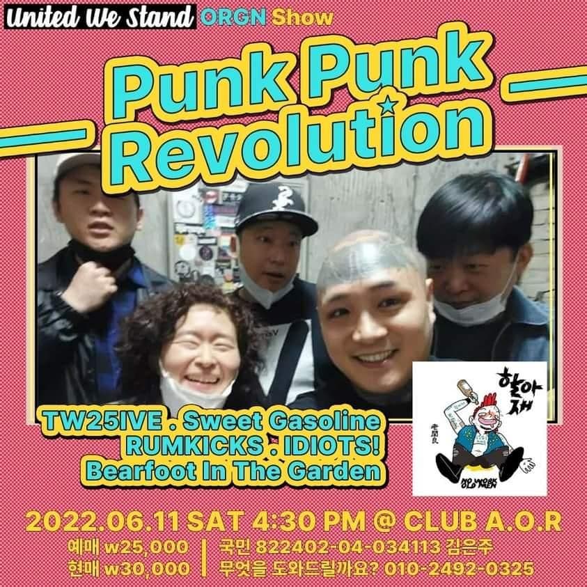 Punk Punk Revolution poster 7