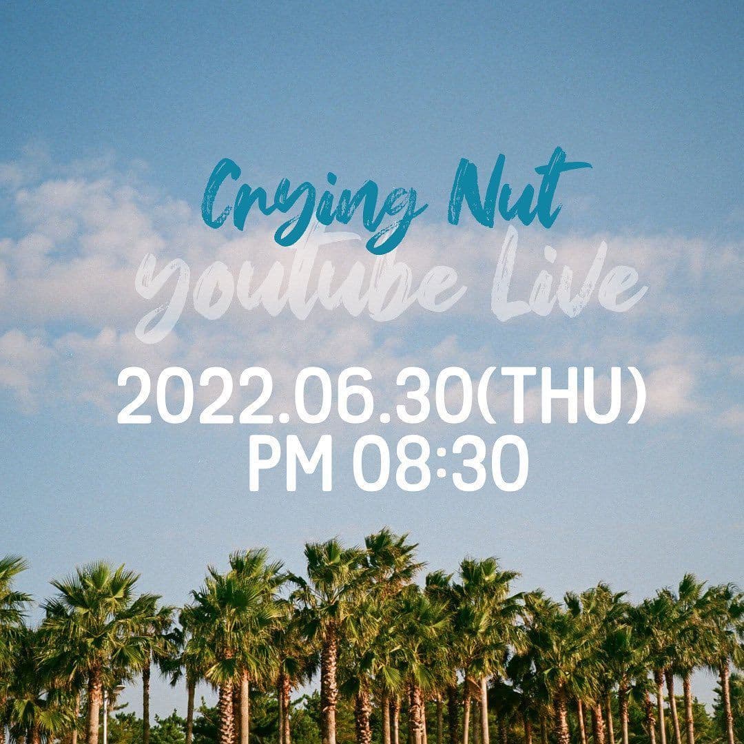 Crying Nut Youtube Live