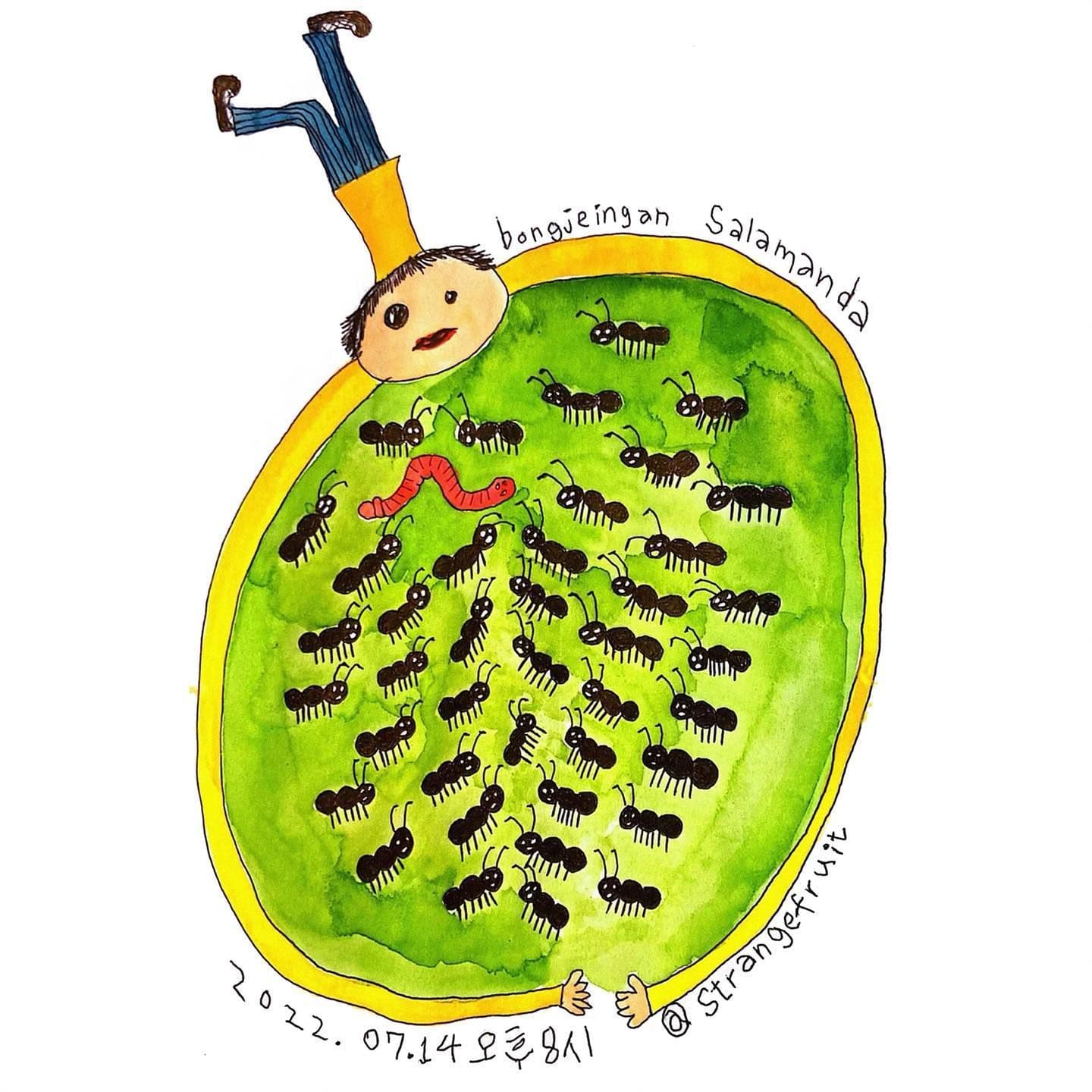 bongjeingan / salamanda