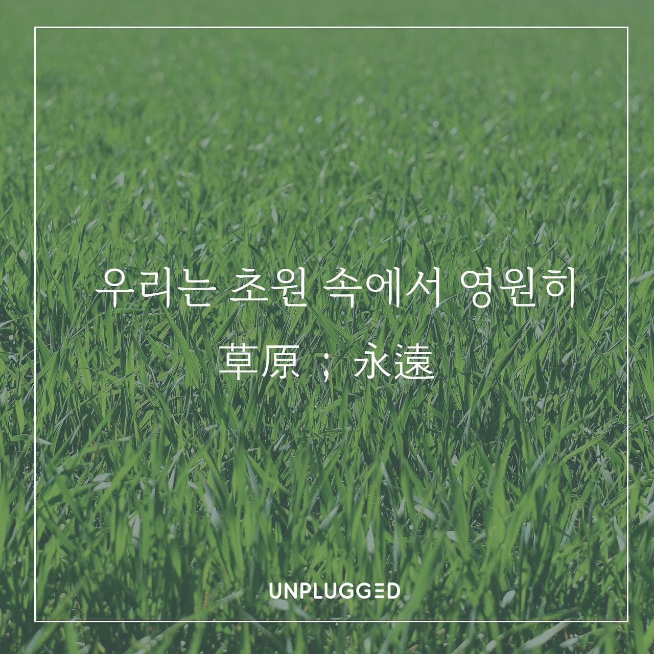 우리는 초원 속에서 영원히  poster 2