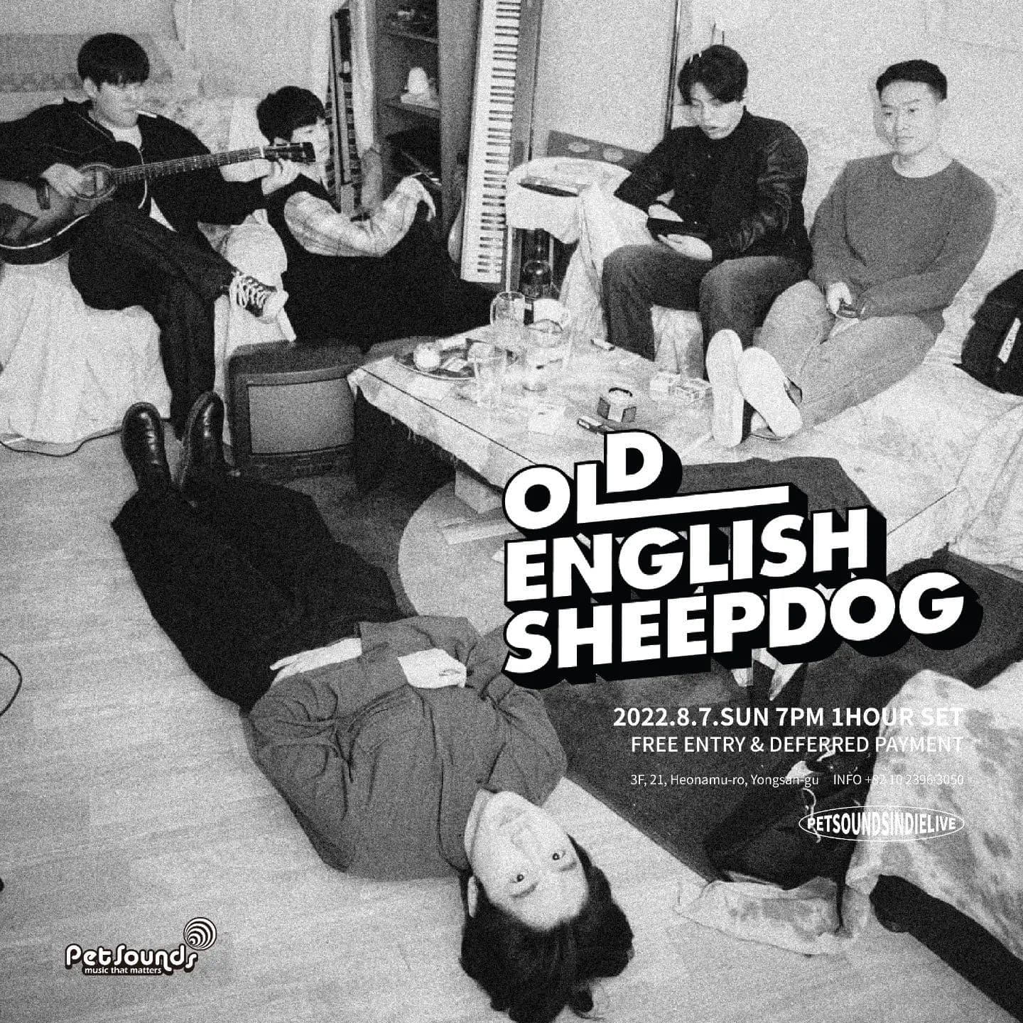 펫사운드 인디라이브 - 올드잉글리쉬펍독