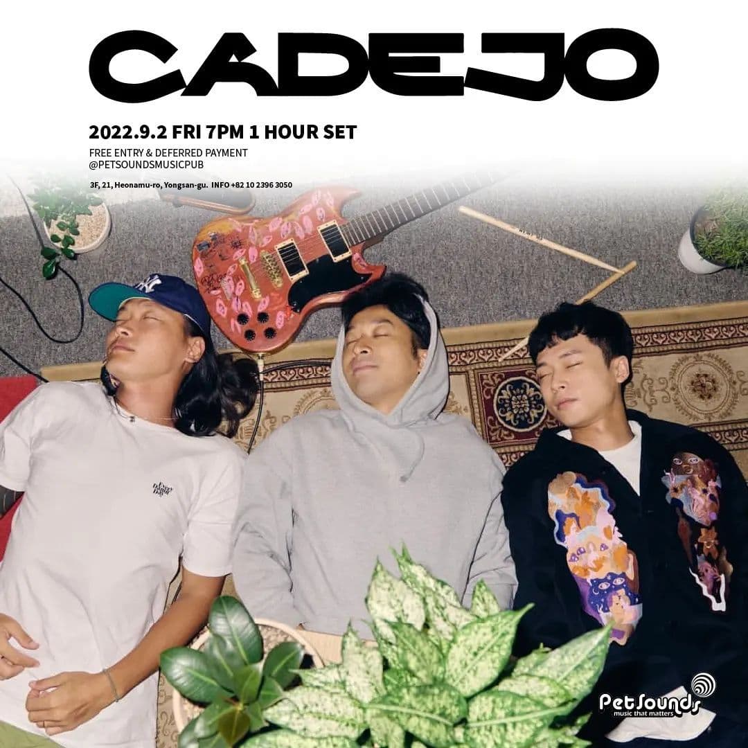 펫사운즈 인디라이브 - 까데호