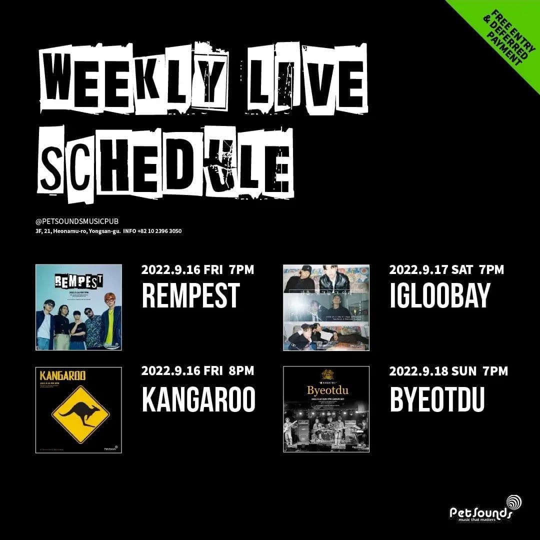 펫사운즈 인디라이브 - 렘피스트