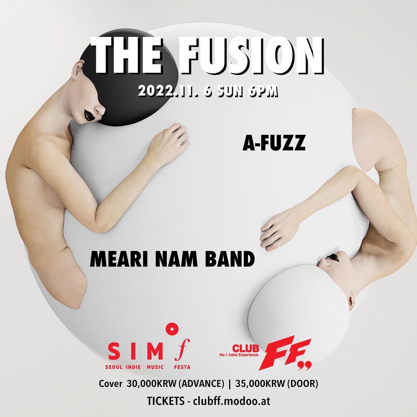 THE FUSION poster 2