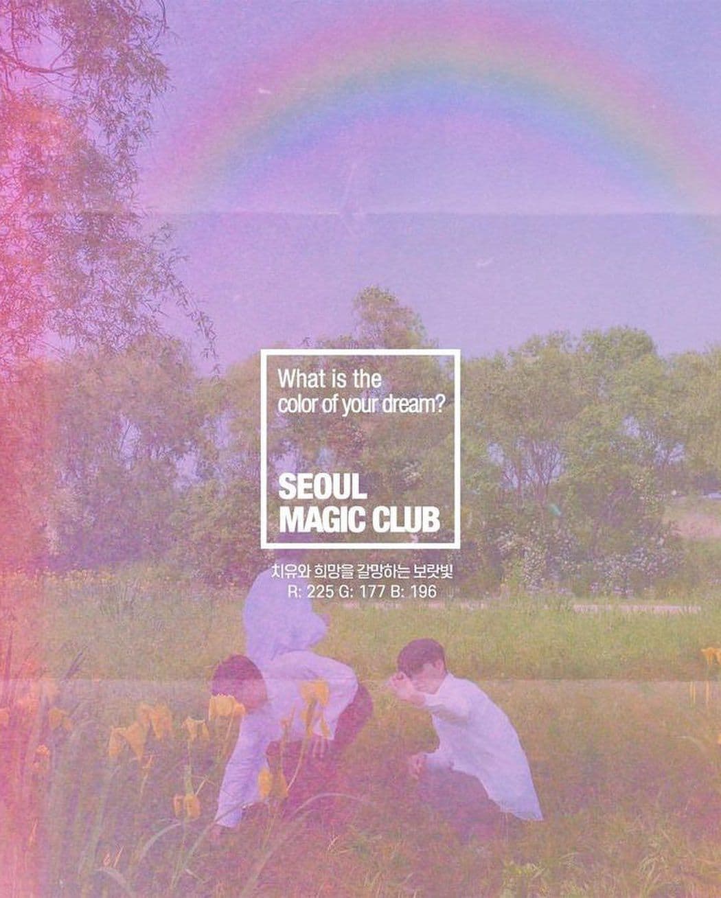 the color of a dream poster 3