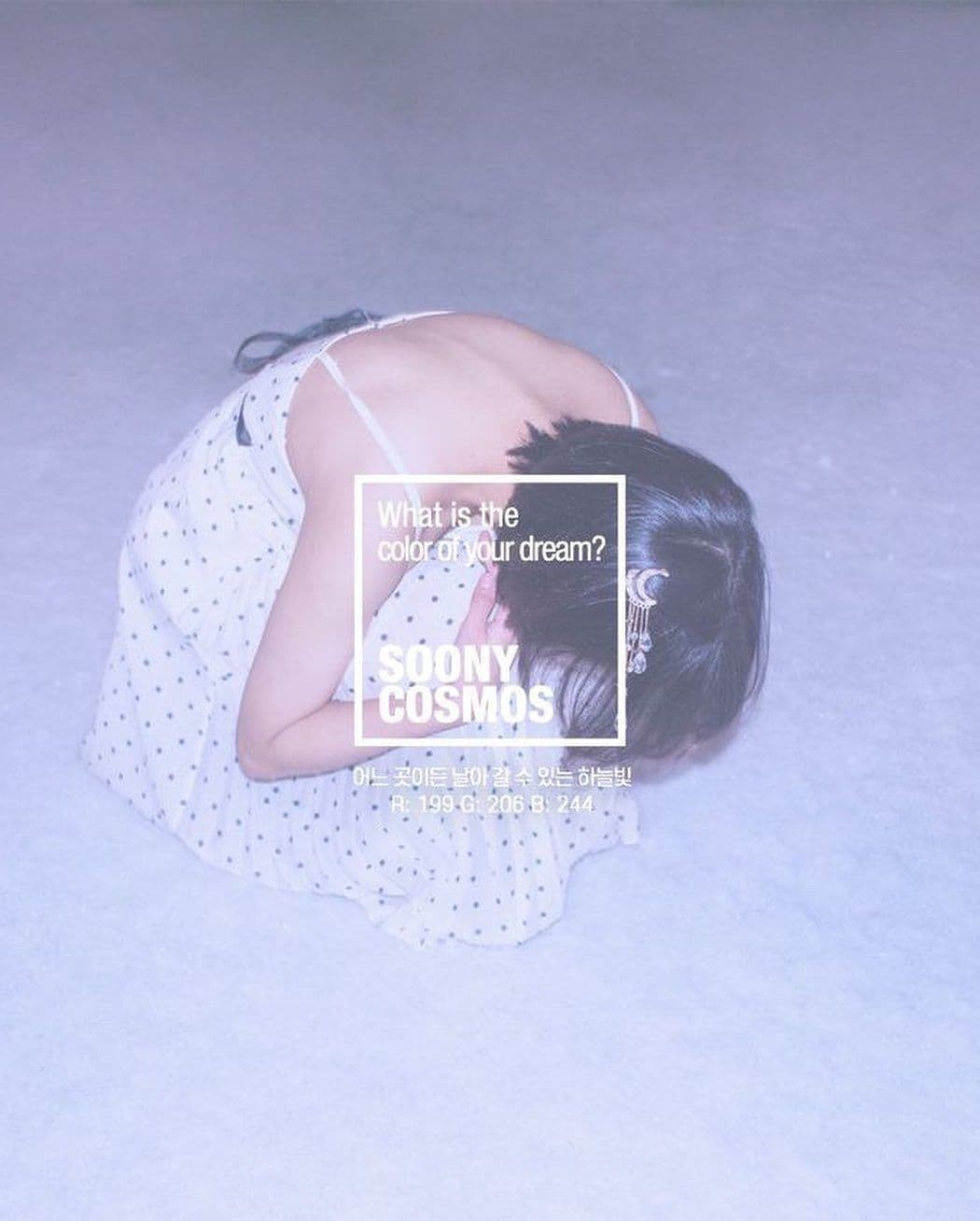 the color of a dream poster 4