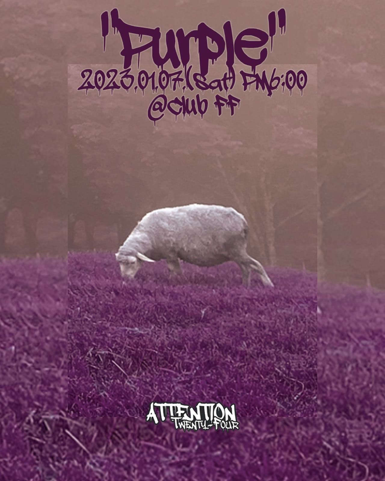 Attention 24 EP ‘Purple’ 발매 기념 단독공연