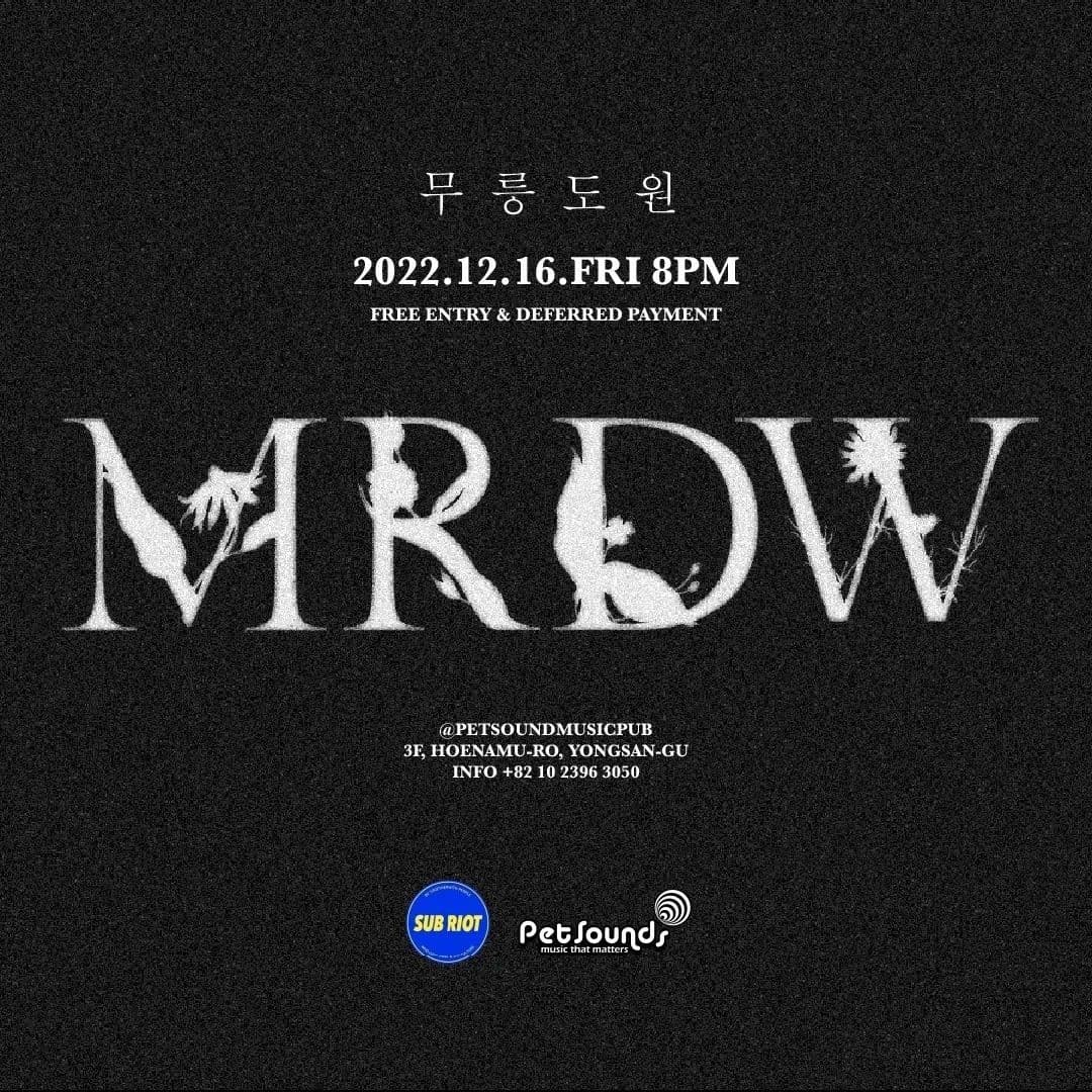 펫사운즈 인디라이브 - 서정, 무릉도원