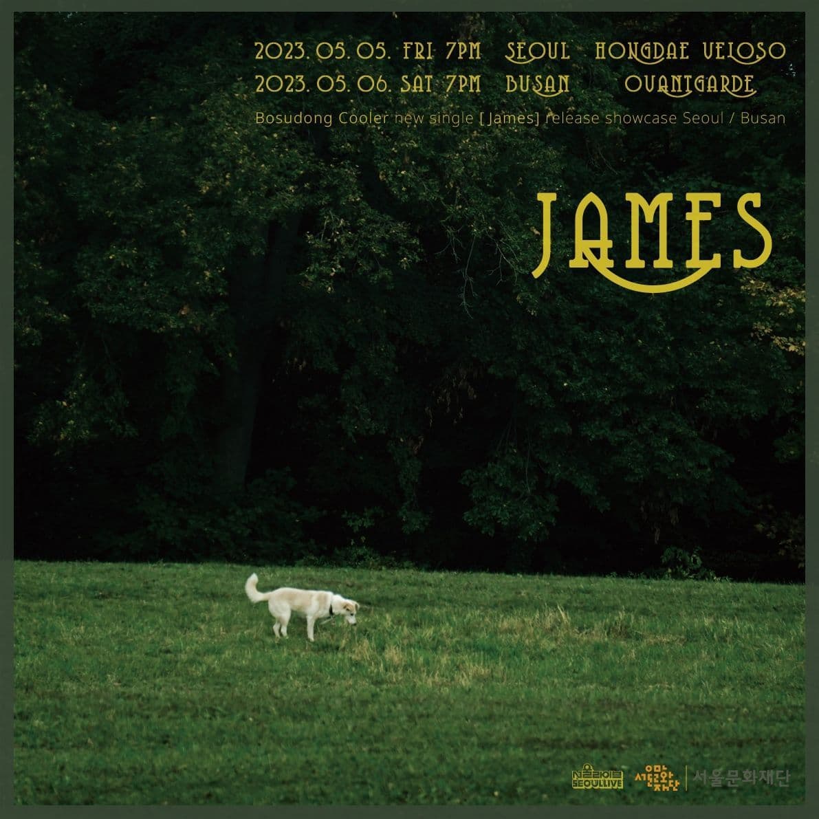 보수동쿨러 싱글 James 발매 기념 단독공연 (부산)