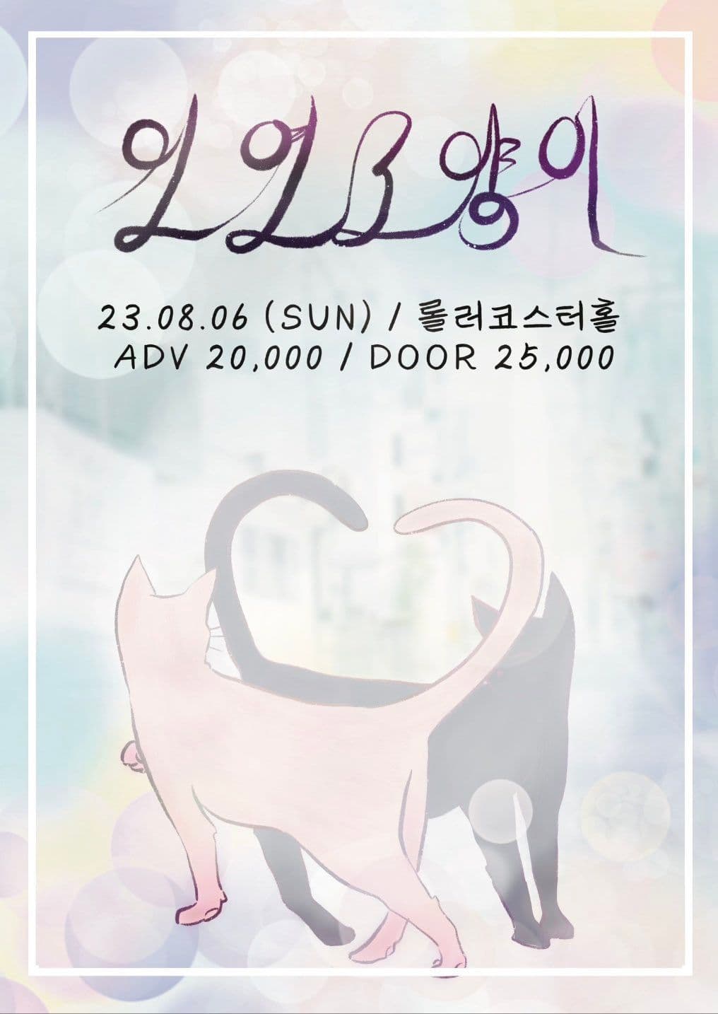 「 인연고양이 」