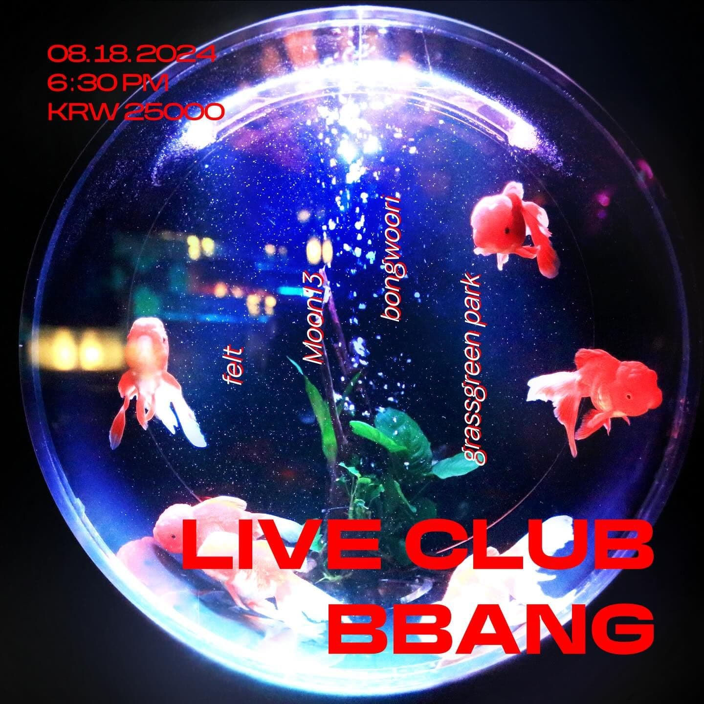 2024년 8월 클럽빵 공연