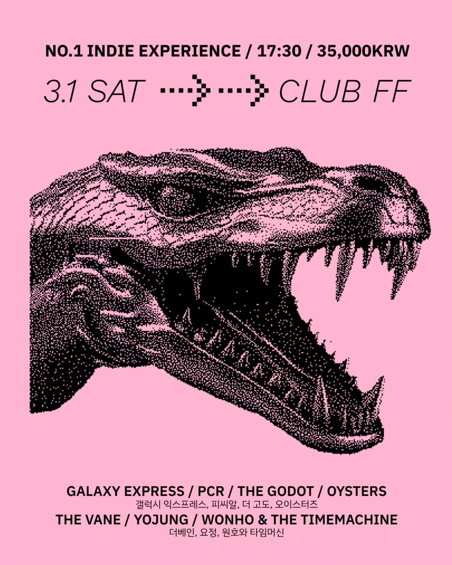 NO.1 INDIE EXPERIENCE