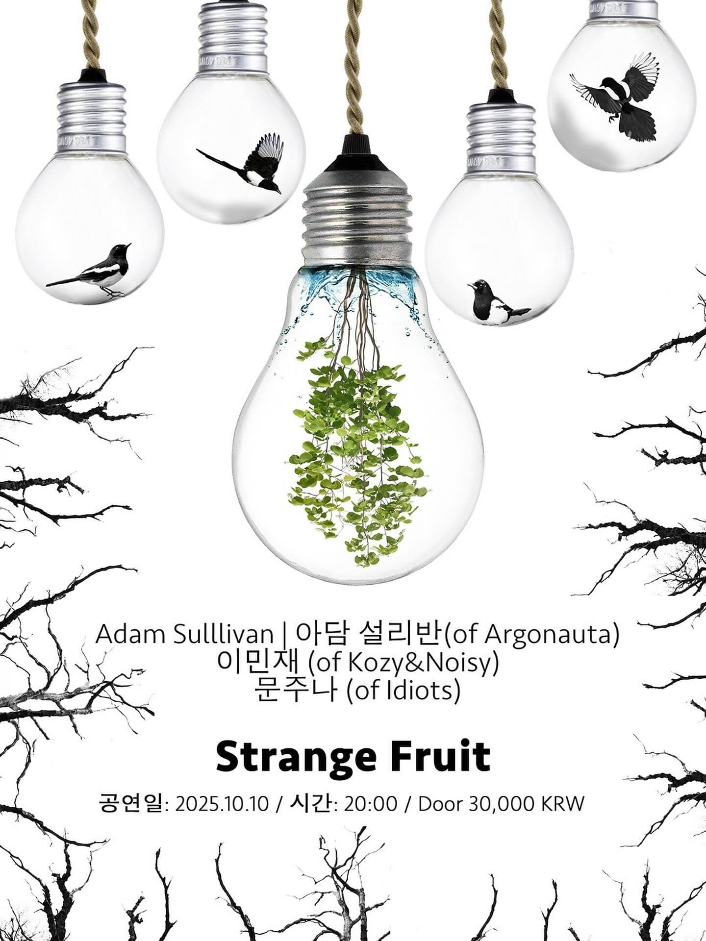 2025년 10월 10일 스트레인지프룻 공연
