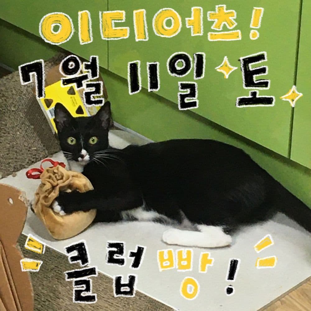 7월 빵 공연 공연 포스터